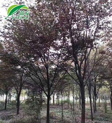 搪瓷反應釜